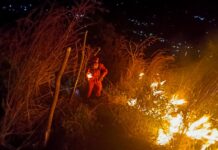 Bomberos controlan incendio en terreno con maleza seca en Ciudad Delgado