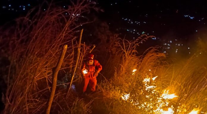 Bomberos controlan incendio en terreno con maleza seca en Ciudad Delgado