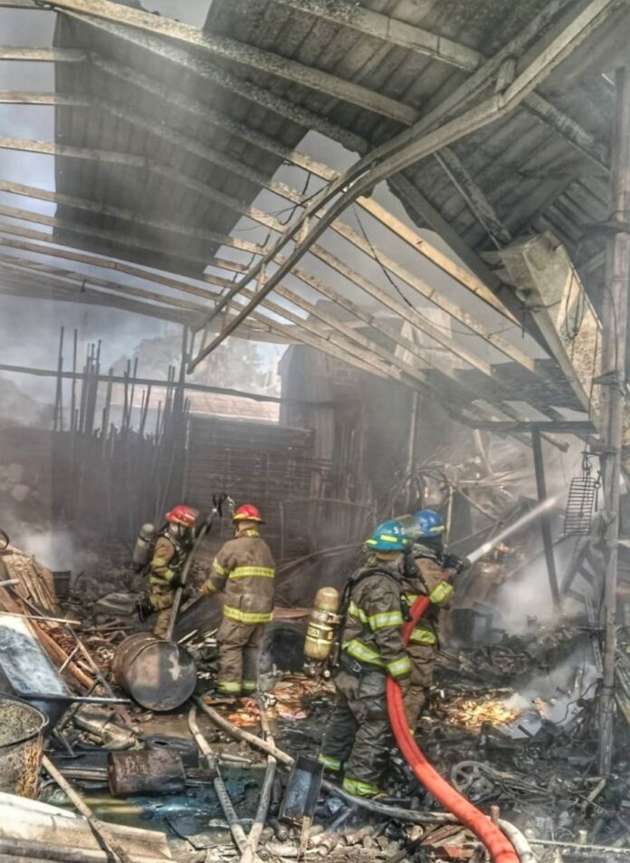 WhatsApp Image 2026-03-20 at 11.22.31 AM