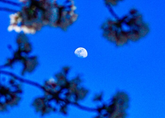 WhatsApp Image 2026-03-29 at 7.30.16 PM (1) WhatsApp Image 2026-03-29 at 7.30.16 PM (1)