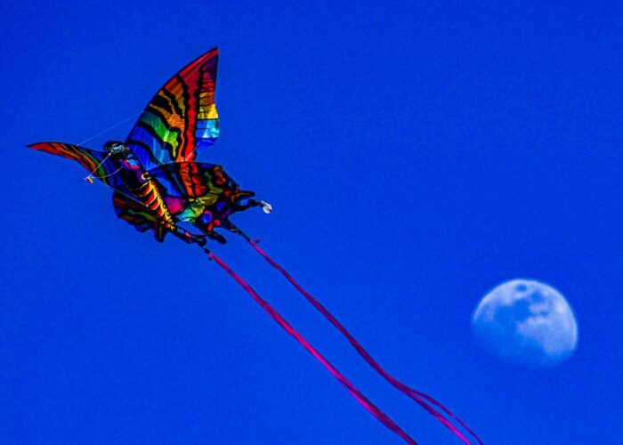 WhatsApp Image 2026-03-29 at 7.30.16 PM (2) WhatsApp Image 2026-03-29 at 7.30.16 PM (2)