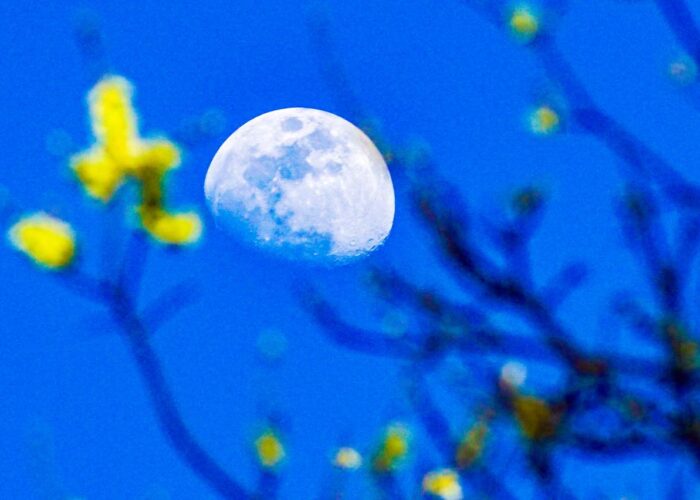 WhatsApp Image 2026-03-29 at 7.30.16 PM (5) WhatsApp Image 2026-03-29 at 7.30.16 PM (5)