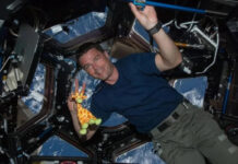 Reid Wiseman, de Artemis II: “Solía pensar que tenía miedo a las alturas, pero ahora sé que era a la gravedad”