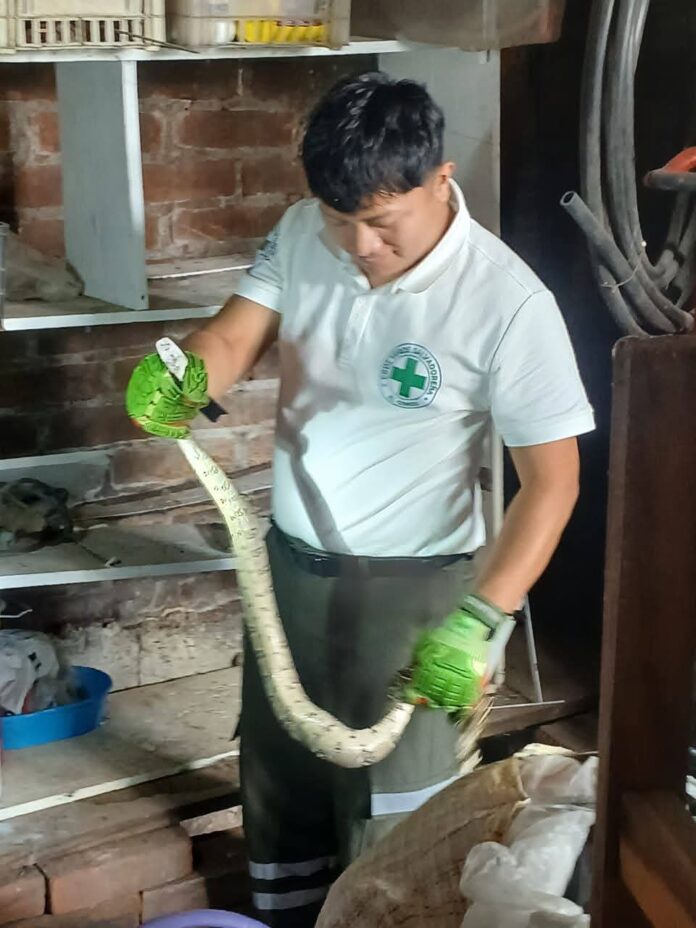 FB_IMG_1775342814292