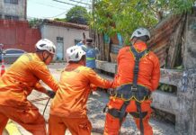 Rescatan a perrito que cayó al fondo de una quebrada en San Salvador Centro