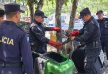Resguardan mono araña hallado en zona urbana de La Libertad Oeste