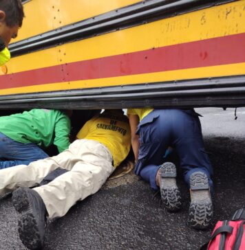 Mujer fallece tras ser atropellada por autobús de la ruta 1 en avenida Don Bosco