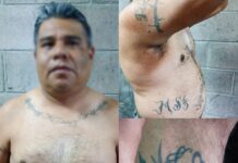 Capturan en Santa Tecla a fundador de la clica “Merliot Locos Salvatruchos” de la MS-13