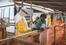 La OMS activa alerta sanitaria internacional ante avance del ébola en África central