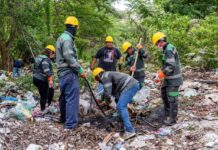 Ejecutan operativo de limpieza y fumigación en San Fernando y colonia Saprisa
