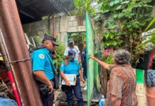 Rescatan a perro y un conejo por presunto maltrato animal en San Salvador Centro
