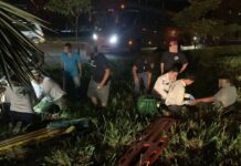 Motociclista fallece tras accidente de tránsito en carretera entre Santa Ana y San Salvador
