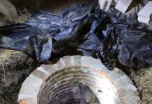 Bovino cae a pozo en Quezaltepeque