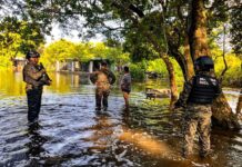 Oleaje provoca inundaciones en viviendas de La Libertad y obliga a evacuar familias