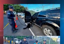 Binomio canino detecta droga oculta en vehículo durante inspección en aduana Las Chinamas