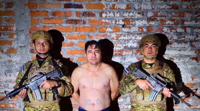 Ubican en San Miguel a presunto pandillero de la MS-13 conocido como «Stone»
