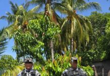Capturan a alias «Pericón», señalado como responsable del homicidio de un gatillero de la MS-13 en Usulután