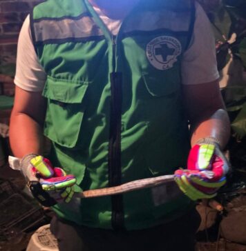 Cruz Verde rescata serpiente que ingresó a una vivienda en Zacatecoluca