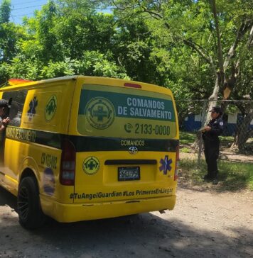 Ocho niños resultan intoxicados tras ingerir semillas de tempate en centro escolar de Rosario de la Paz