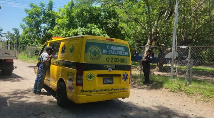 Ocho niños resultan intoxicados tras ingerir semillas de tempate en centro escolar de Rosario de la Paz