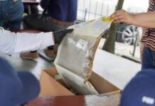 FGR destruirá más de 64 kilos de droga valorada en más de $357 mil provenientes de 54 casos de narcotráfico