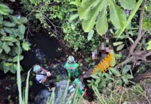 Motociclista muere tras caer a una quebrada en El Paisnal