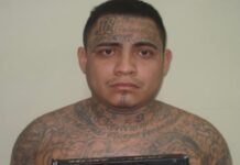 Capturan en México a cinco pandilleros buscados por la justicia salvadoreña