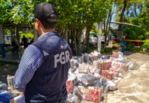 FGR supervisa destrucción de 1,362 kilos de cocaína valorados en más de $34 millones