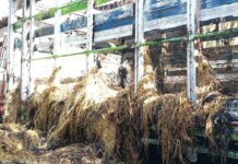 Bomberos controlan incendio en carga de camión tras contacto con tendido eléctrico