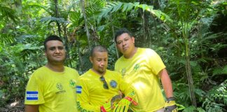 Rescatan a cría de kinkajú que se encontraba vulnerable en una zona boscosa de San Martín