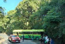 Falla en los frenos provoca accidente de autobús en Lolotique