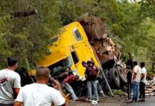 Muere motorista tras fuerte accidente entre dos vehículos de carga en la Ruta Militar