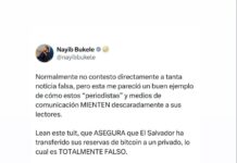 Nayib Bukele desmiente transferencia de las reservas de bitcoin a un agente privado