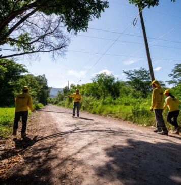 Ministerio de Obras Públicas impulsa mejoras viales y estudios técnicos en rutas escolares a nivel nacional