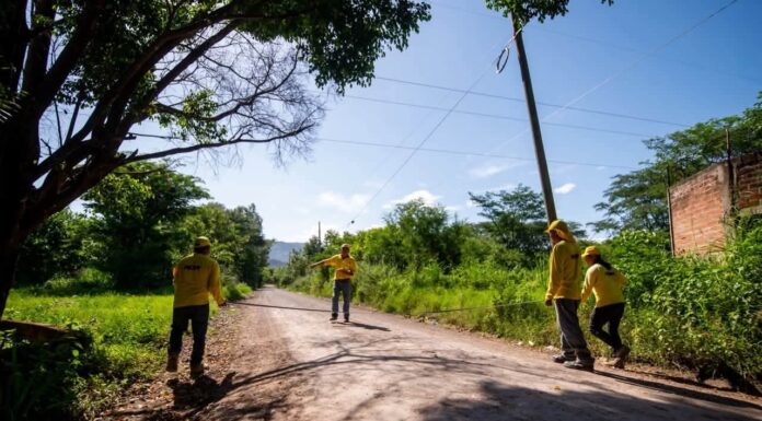 Ministerio de Obras Públicas impulsa mejoras viales y estudios técnicos en rutas escolares a nivel nacional