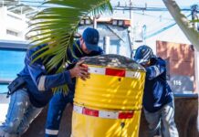 Alcaldía de San Salvador Centro ejecuta operativo de liberación de espacios públicos en la colonia San Benito
