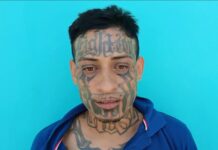 Capturan en México a alias «El Muerto», peligroso gatillero de la 18 Revolucionarios y perfilado entre los 100 más buscados