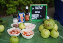San José Guayabal se alista para celebrar la edición del Festival de la Guayaba este 17 y 18 de octubre