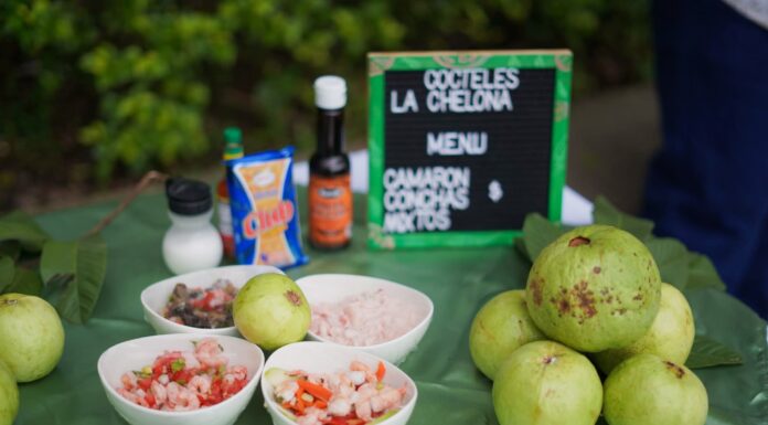San José Guayabal se alista para celebrar la edición del Festival de la Guayaba este 17 y 18 de octubre
