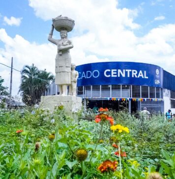 El Mercado Central se consolida como un punto clave de abastecimiento