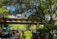 Comandos de Salvamento reporta a una persona fallecida tras ser atropellada en las inmediaciones del Puente de Olocuilta
