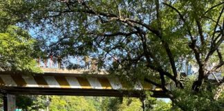 Comandos de Salvamento reporta a una persona fallecida tras ser atropellada en las inmediaciones del Puente de Olocuilta
