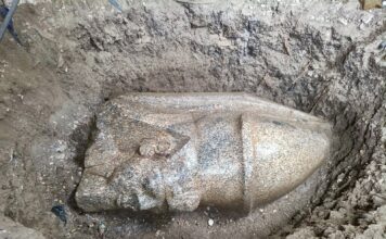 Hallan en Egipto dos estatuas que podrían pertenecer a Ramsés II