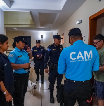 Rescatan a dos perros en San Salvador tras denuncia de maltrato en redes sociales