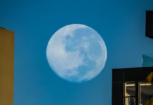 La Luna del Cazador iluminó octubre y aún puede observarse en el cielo nocturno