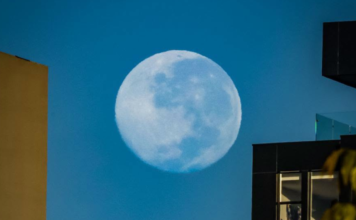 La Luna del Cazador iluminó octubre y aún puede observarse en el cielo nocturno
