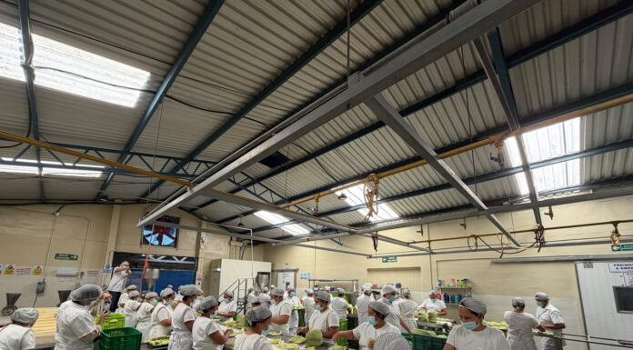 Típicos Nokal confirma que sus productos salvadoreños ya están en Canadá